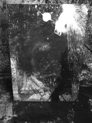 bäume halten stumpf am leben